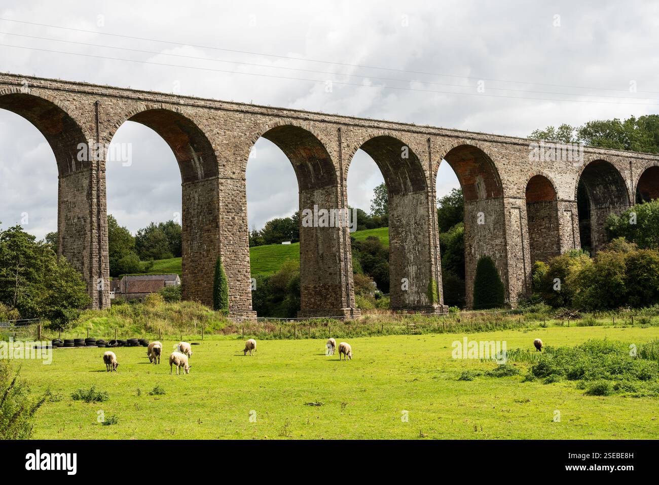 Il viadotto in disuso della Bristol and North Somerset Railway attraversa la Chew Valley a Pensford. Foto Stock