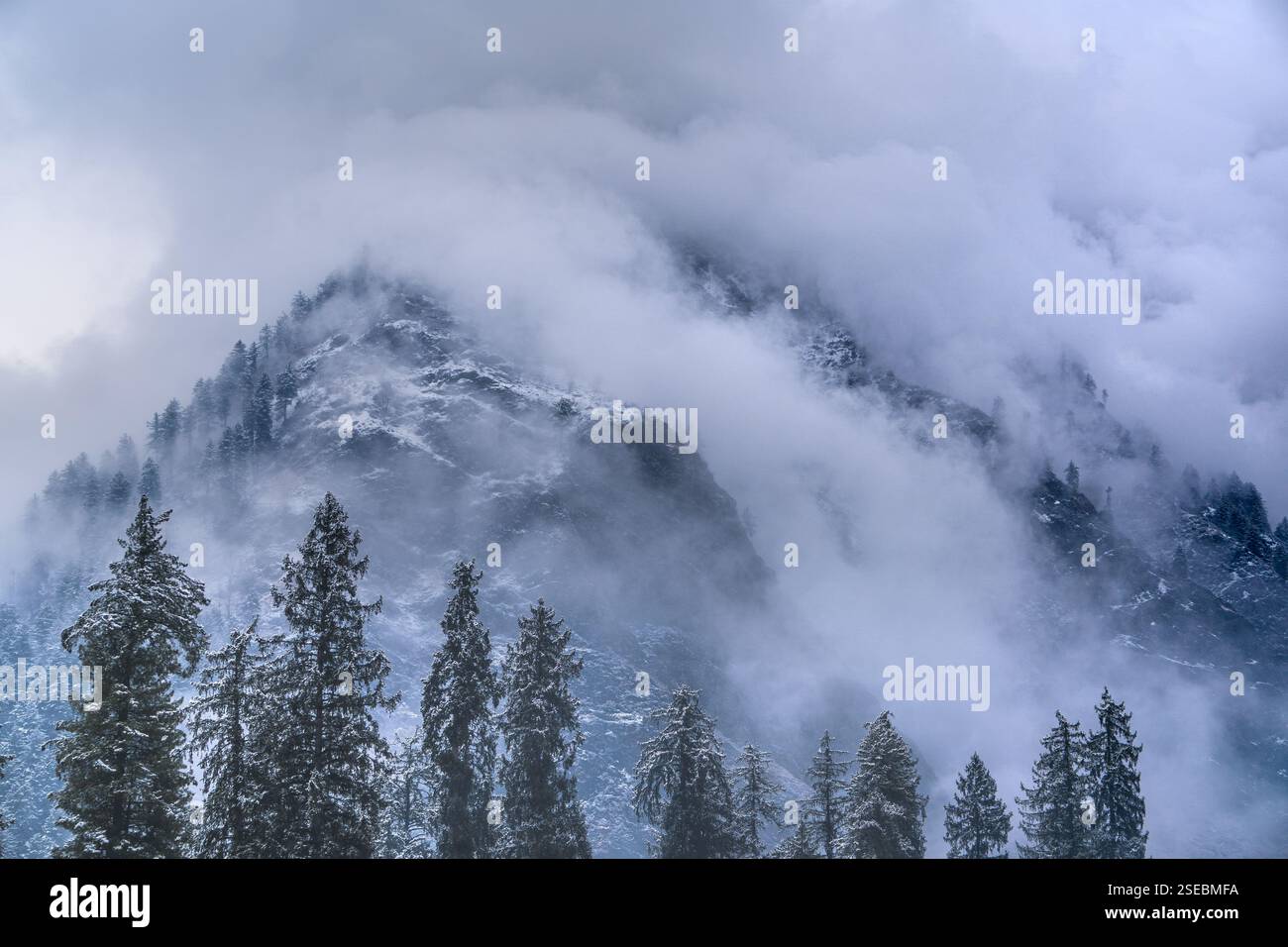 La mattina dell'Himalaya Foto Stock