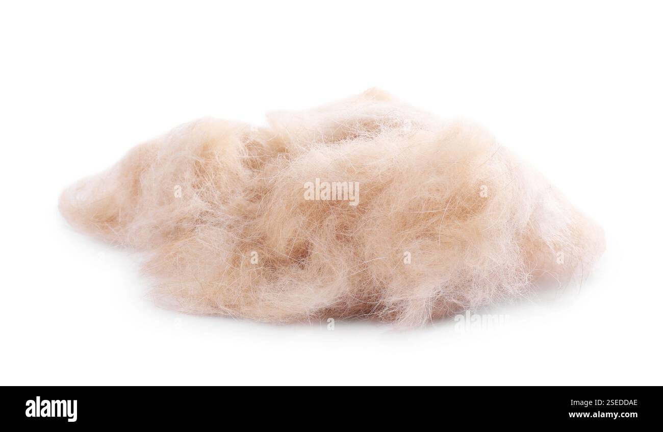 Mucchio di capelli di animale domestico isolato su bianco Foto Stock
