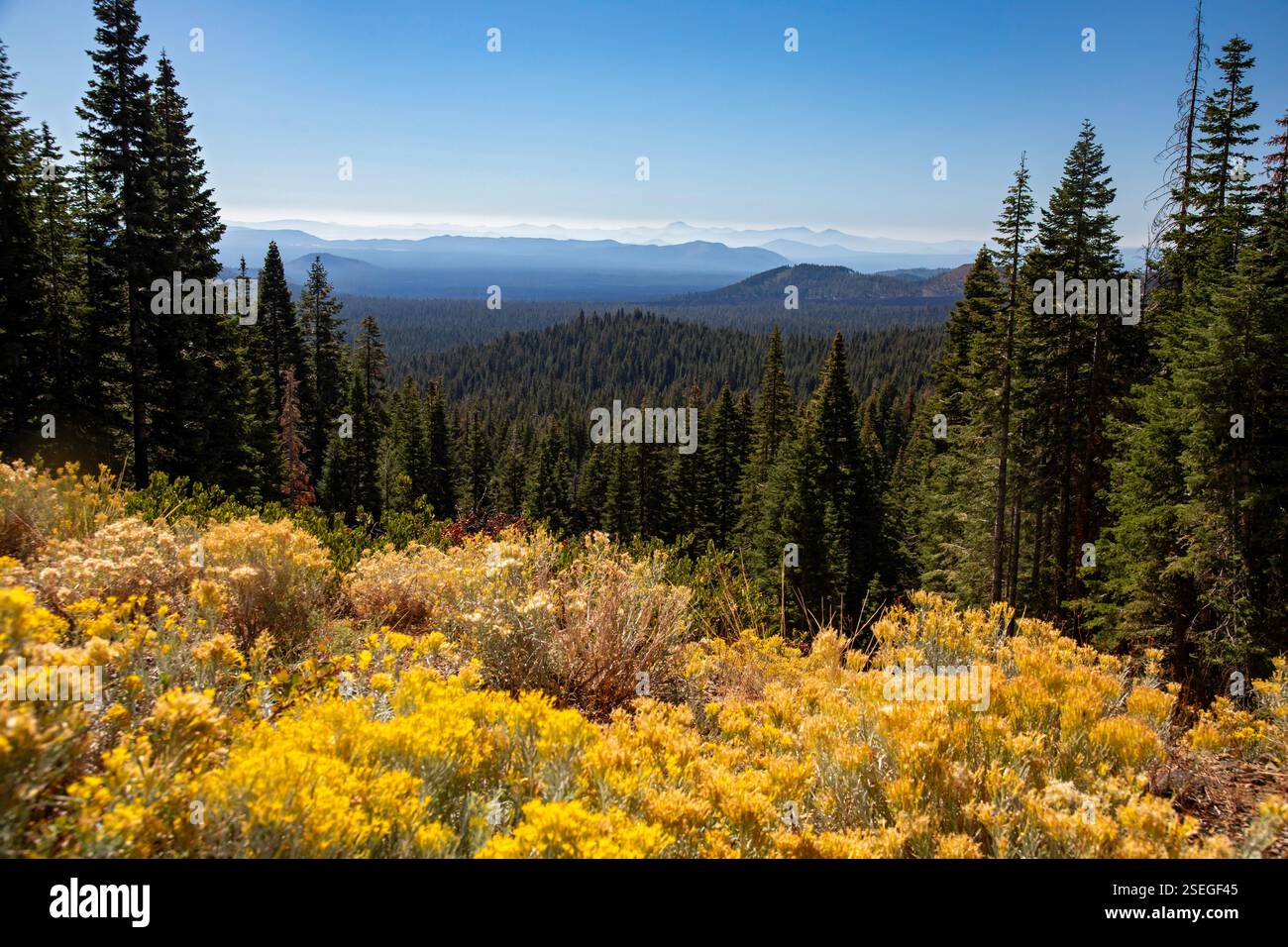 Bartle, California - una vista del primo autunno della Shasta-Trinity National Forest. Foto Stock