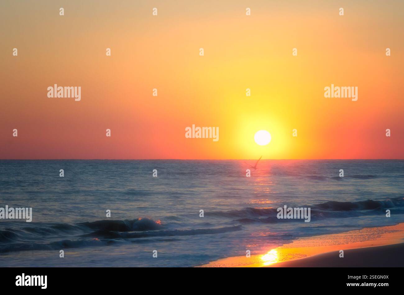 Un'alba dorata su Atlantic Beach, North Carolina, con dolci onde che si infrangono sulla riva e un uccello solitario che sorvola l'acqua. Foto Stock