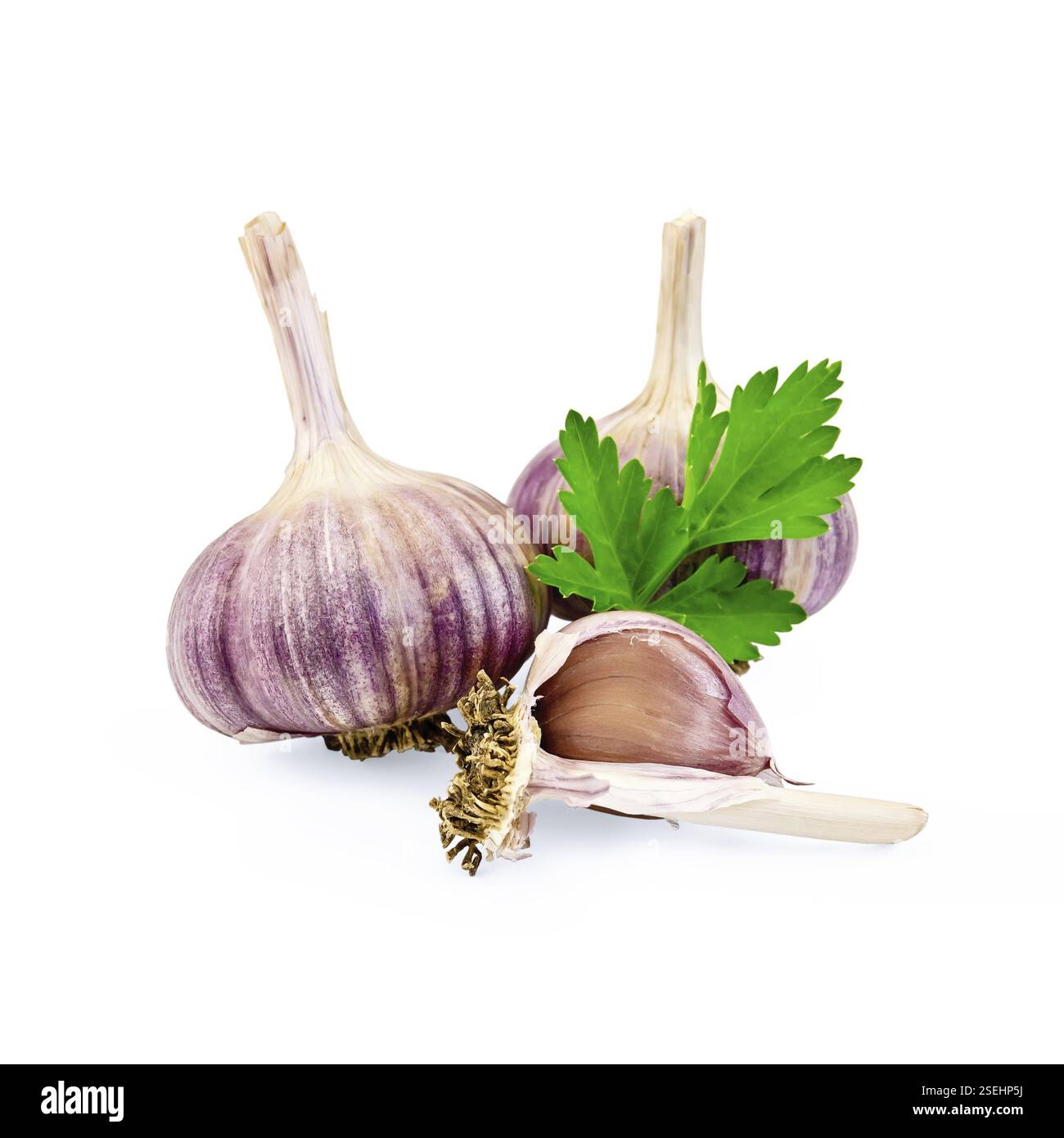 Due bulbi d'aglio interi, uno spicchio d'aglio e una foglia di prezzemolo su sfondo bianco Foto Stock