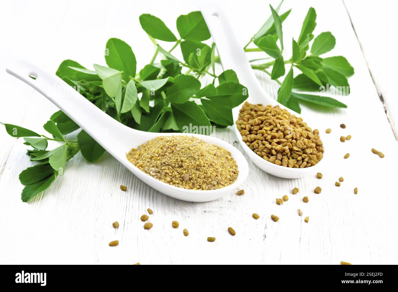 Semi di fieno greco e la massa spice in due cucchiai e su una tabella con foglie di colore verde sul pannello di legno sfondo Foto Stock