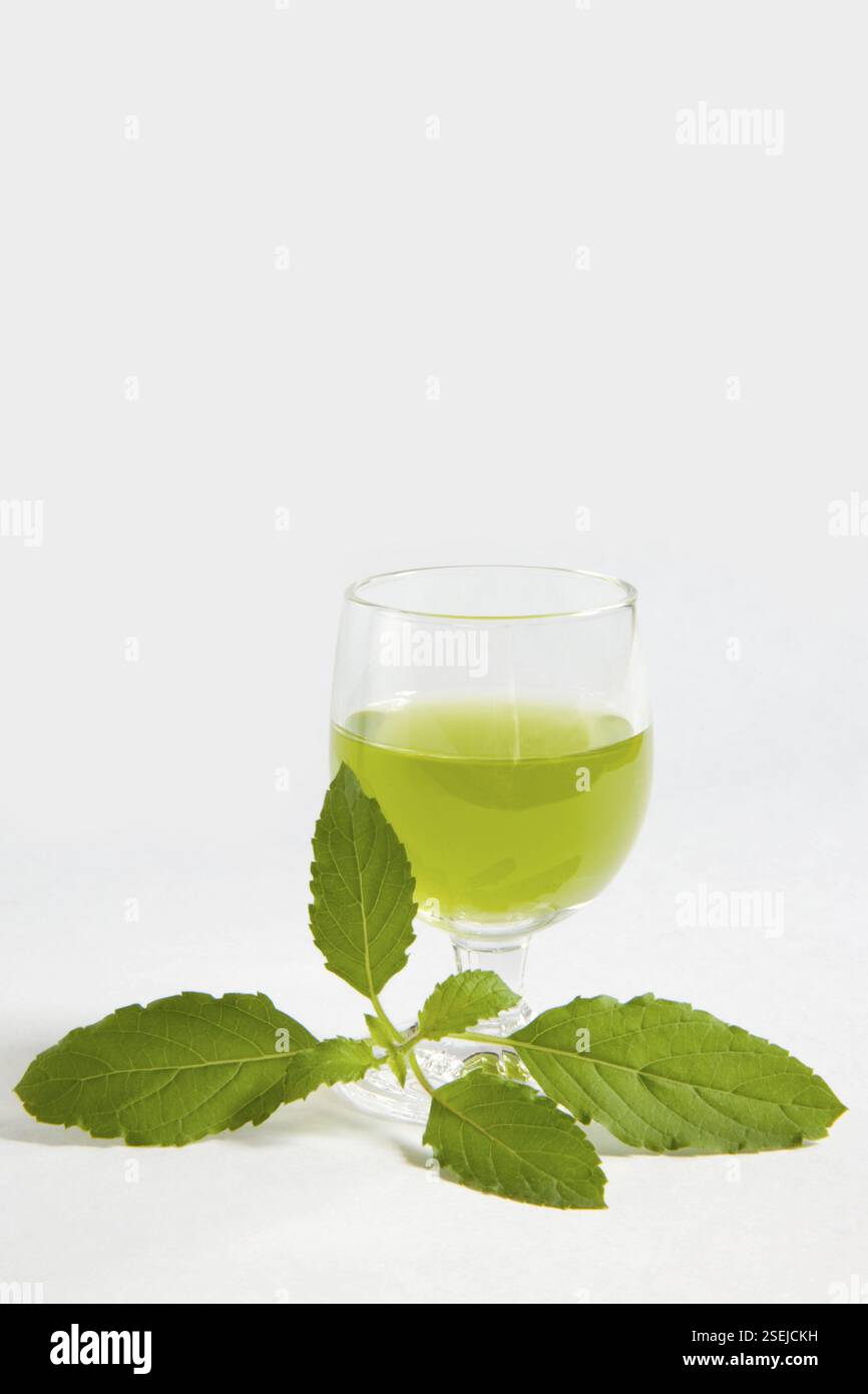 Bevi, il basilico Santo Tulsi lascia Ocimum sanctum con un bicchiere di succo di frutta meravigliosa medicina Foto Stock