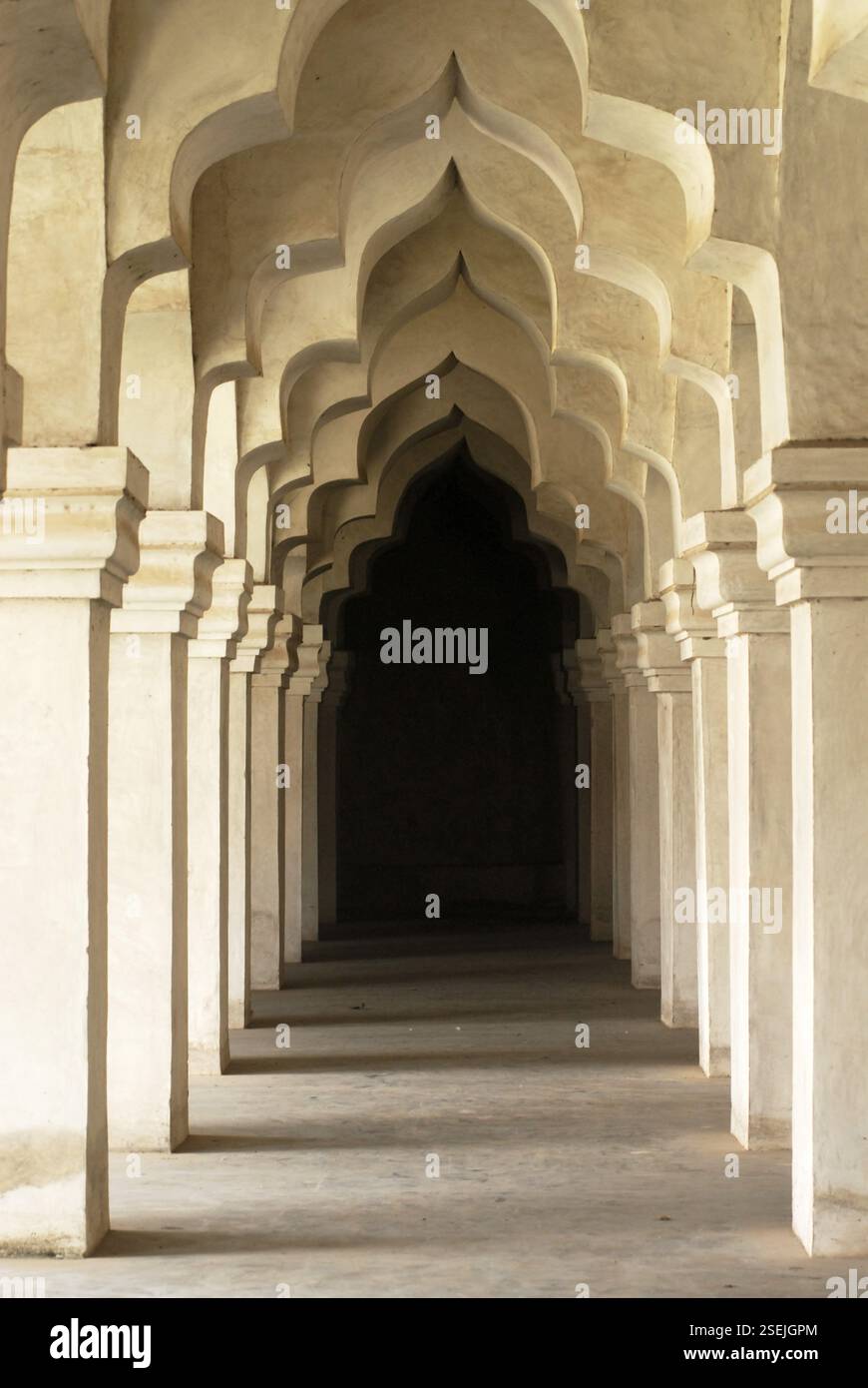 Ampio e lungo corridoio della sala Maratha Darbar all'interno del complesso del palazzo Thanjavur, Thanjavur, Tamil Nadu, India, Asia Foto Stock
