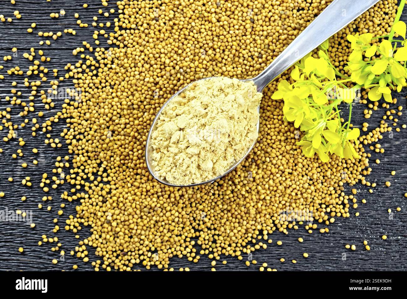La senape in polvere in un cucchiaio di metallo, semi e un fiore di senape su uno sfondo di una tavola di legno dal di sopra Foto Stock