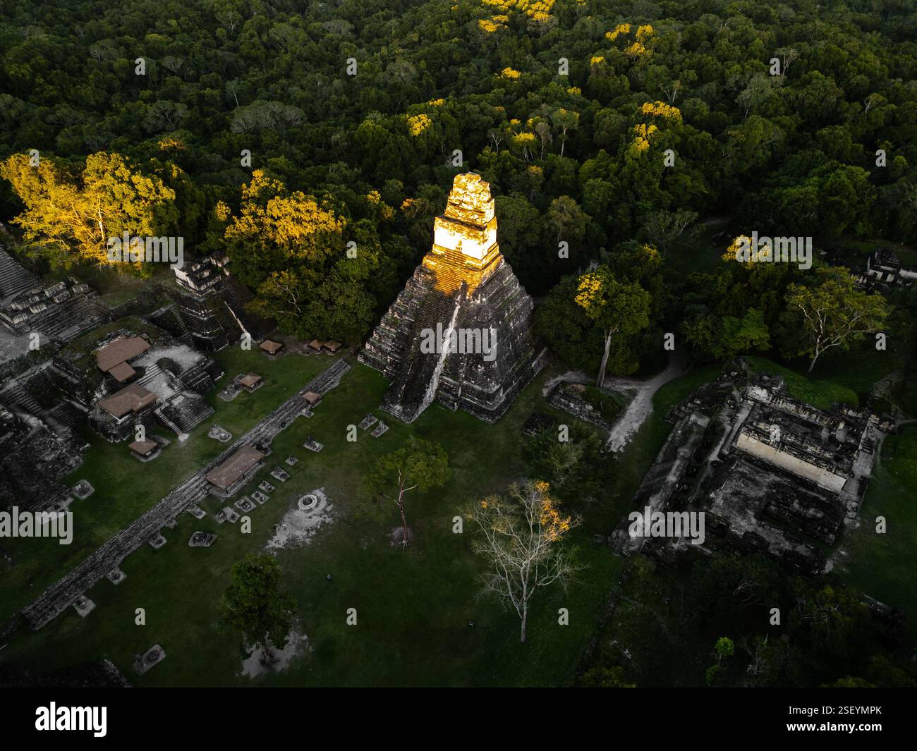 Templo del Gran Jagua, Tikal Temple i o Great Plaza, Tikal, Guatemala Foto Stock