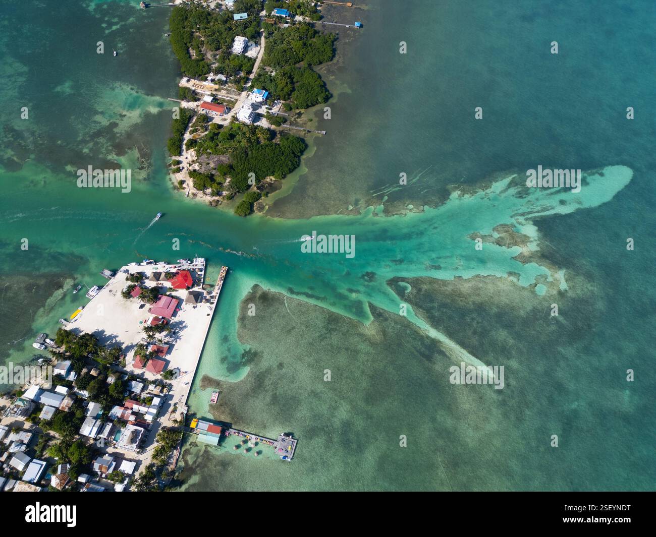 Lo Spalato, Caye Caulker, Belize Foto Stock