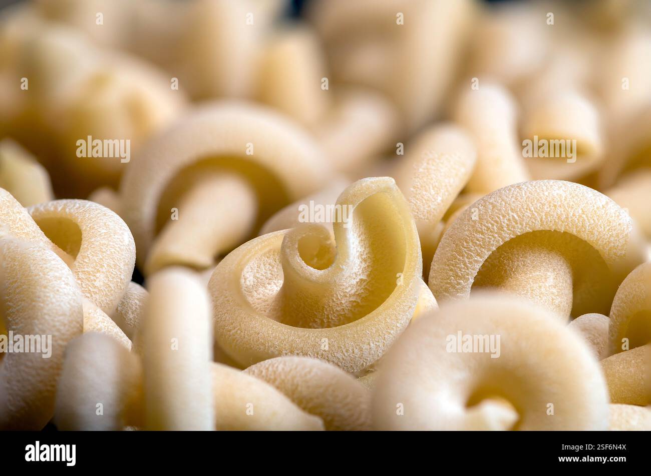 Macro di un'elegante pasta Vesuvio IGP a base di semola di grano duro. Forma a spirale, texture raffinata e dettagli chiaramente visibili. Foto Stock