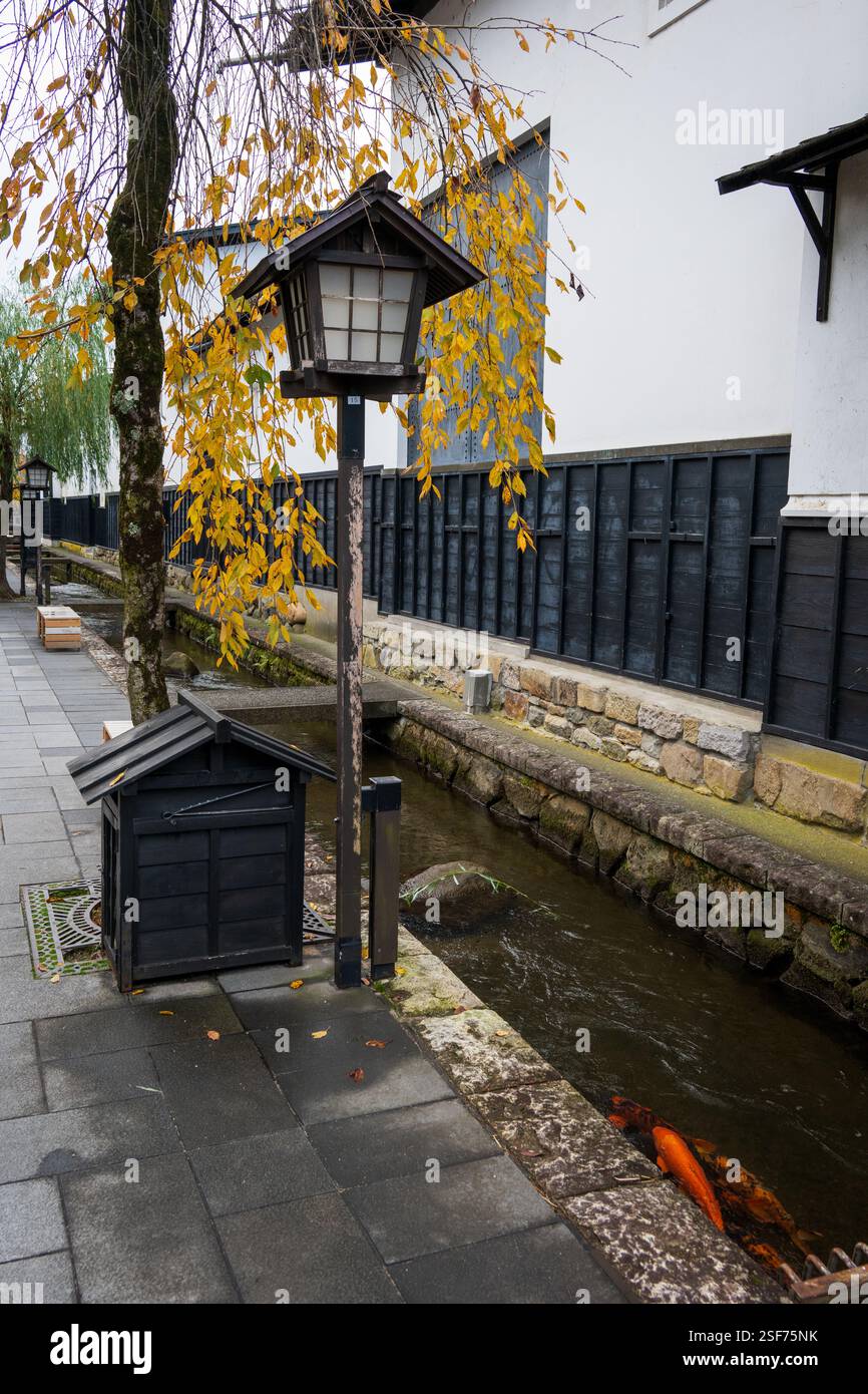 Centro storico di Hida Furukawa con Koi Carp in Stream, Giappone Foto Stock