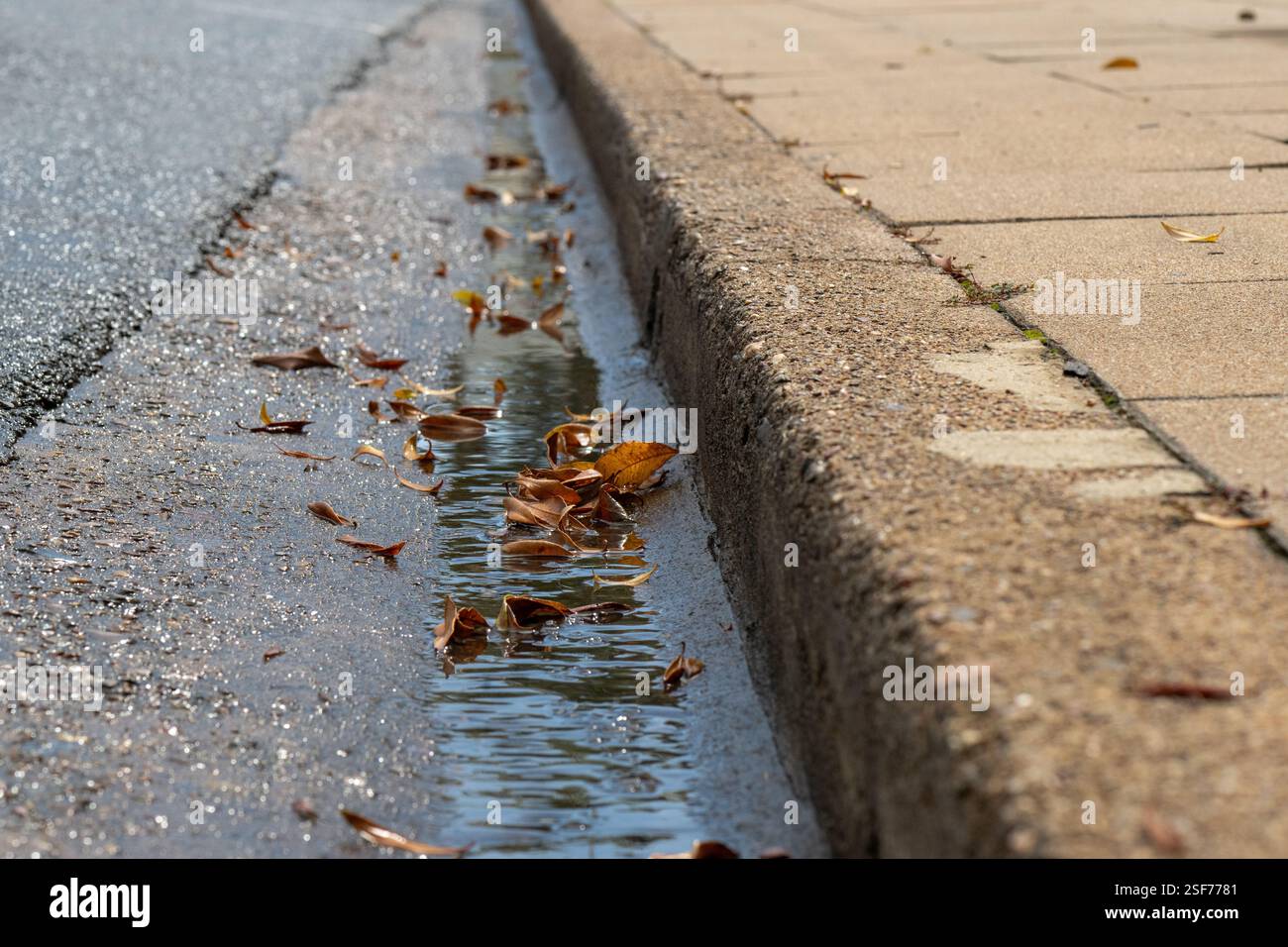 le acque e le foglie della città, le piogge e i detriti, i rifiuti che si lavano via, scappano via e sprechi Foto Stock