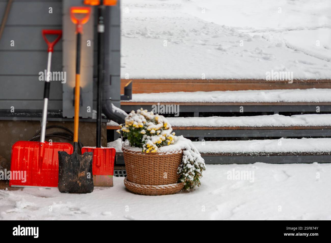 una collezione di pale da neve e piante in vaso nel giardino innevato, scenario invernale Foto Stock