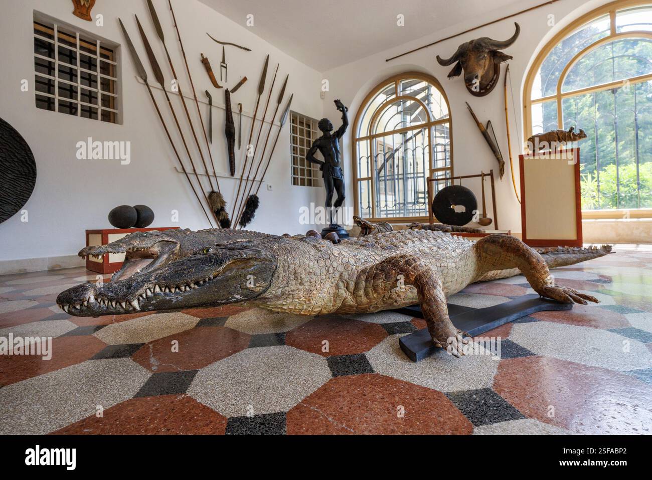 Sala dei trofei con coccodrillo nella villa Betliar, Slovacchia Foto Stock