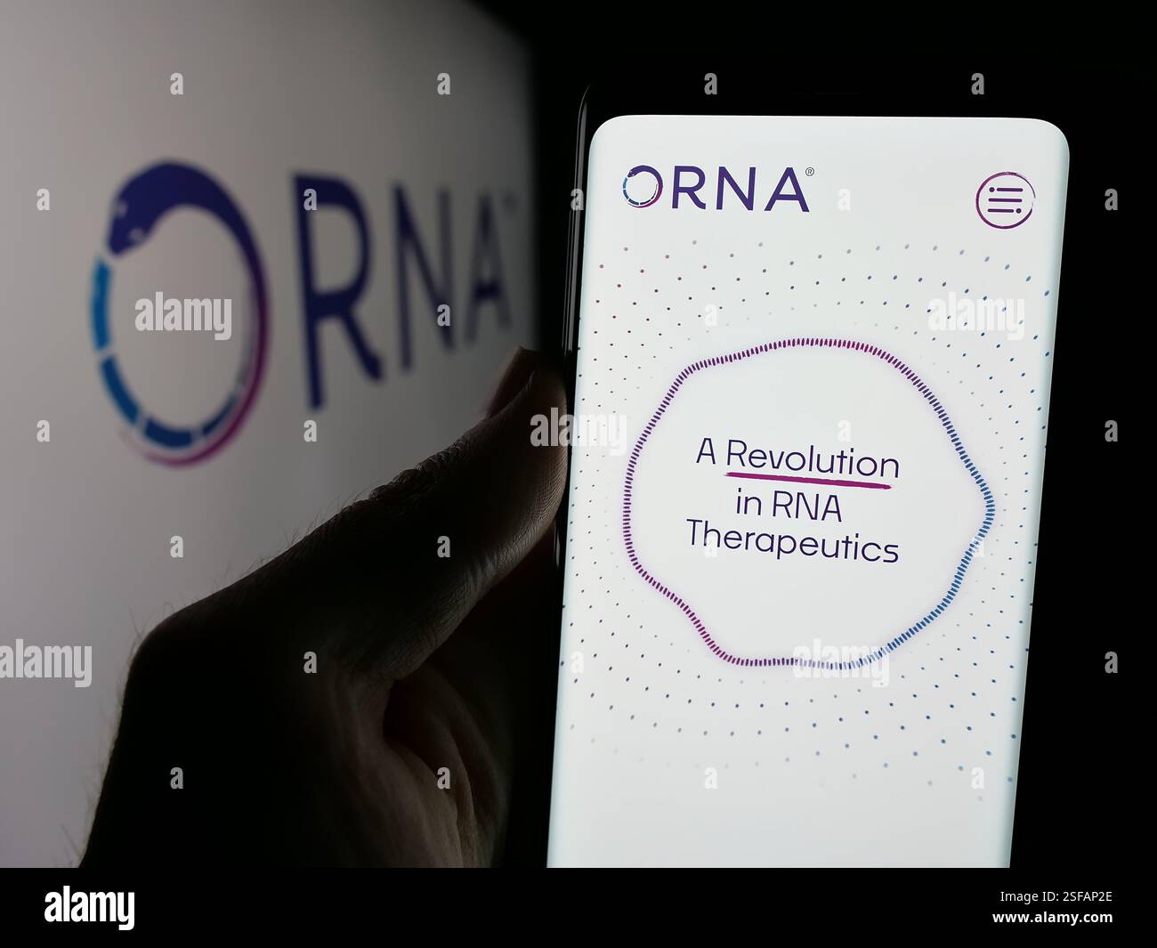 Stoccarda, Germania. 15 novembre 2024. In questa illustrazione fotografica, una persona ha in mano un cellulare con la pagina Web della società di biotecnologie statunitense Orna Therapeutics Inc. Su schermo con il logo. Credito: SOPA Images Limited/Alamy Live News Foto Stock