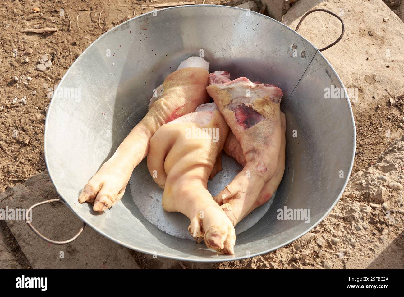 piedini di maiale collocati in una ciotola di metallo Foto Stock