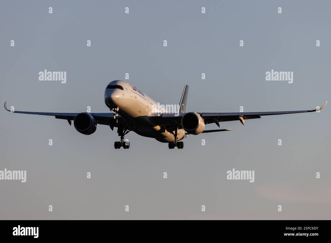 Der Airbus A350-941 A359 der Fluglinie Lufthansa LH / DLH mit der Registrierung D-AIXC MSN: 087 landet am Flughafen Hamburg Airport EDDH/HAM. Amburgo Amburgo Germania Foto Stock