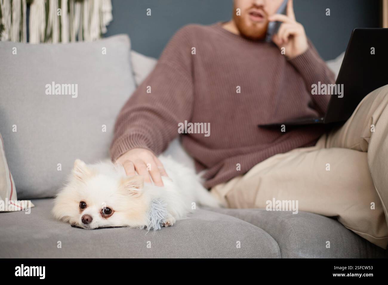 Uomo seduto comodamente sul divano, impegnato in una conversazione telefonica mentre il cane di piccole dimensioni riposa nelle vicinanze. Un cane è rilassato e accogliente sul divano Foto Stock