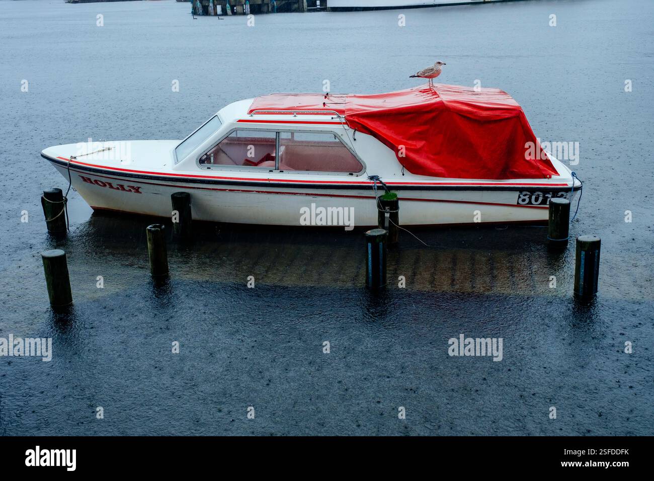 Passerelle per barche allagate e barche rosse e bianche a noleggio in una giornata di pioggia al lago windermere, Cumbria, Regno Unito Foto Stock