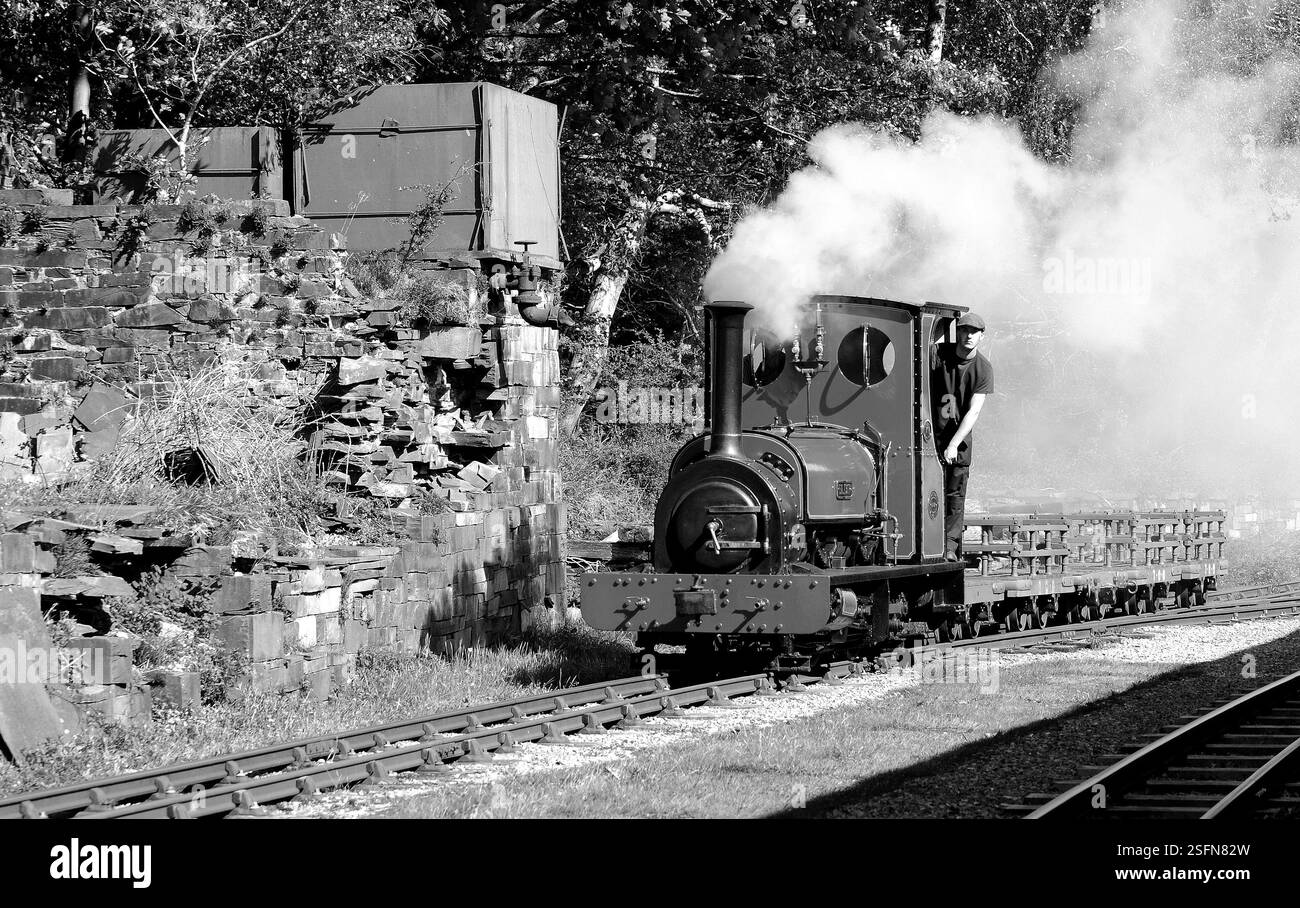 "Elidir" sta facendo una manovra a Gilfach DDU. Foto Stock