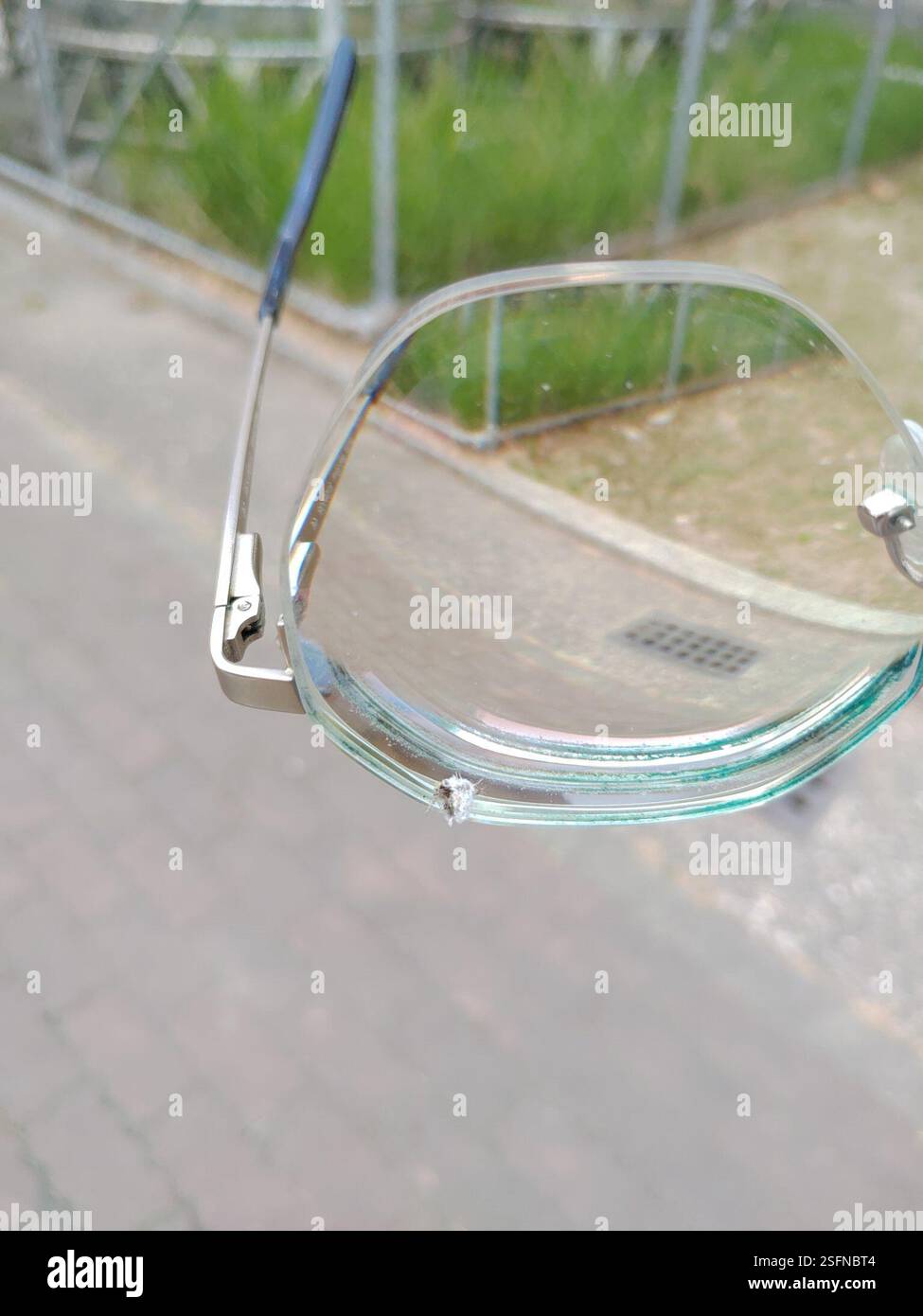 True Bugs, Hoppers, afidi e alleati (Hemiptera), Insecta, 913, Taiwan, 屏東縣萬丹鄉萬全村, insetto che è stato soffiato sui miei occhiali. Sembrava essere ricoperto di materiale simile al cotone. Foto Stock