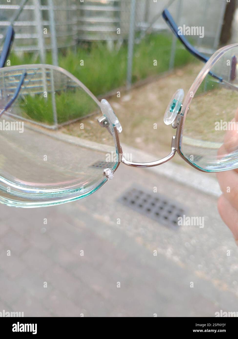 True Bugs, Hoppers, afidi e alleati (Hemiptera), Insecta, 913, Taiwan, 屏東縣萬丹鄉萬全村, insetto che è stato soffiato sui miei occhiali. Sembrava essere ricoperto di materiale simile al cotone. Foto Stock