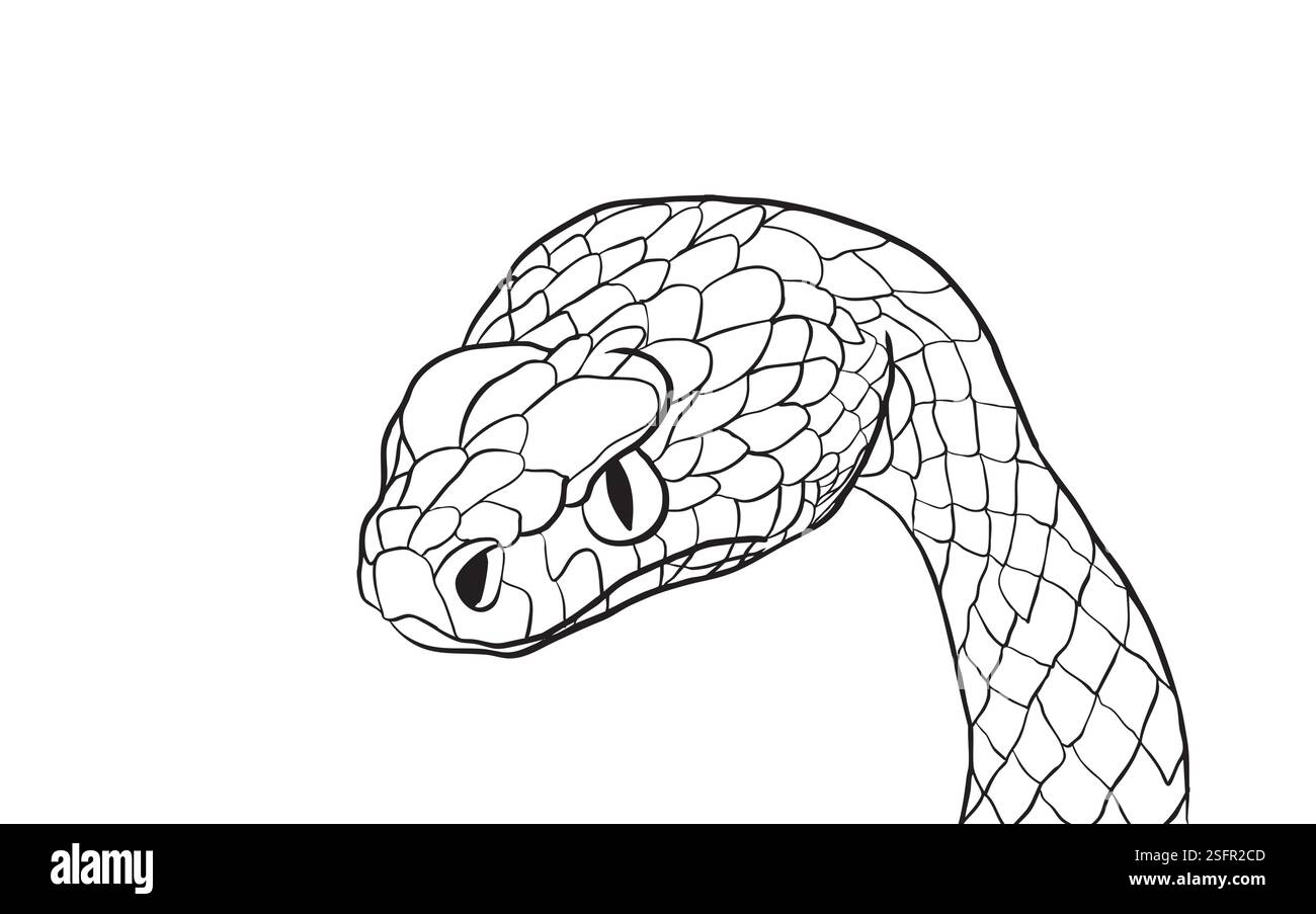 Serpente verde che emerge da un buco con uno sguardo intenso Illustrazione Vettoriale