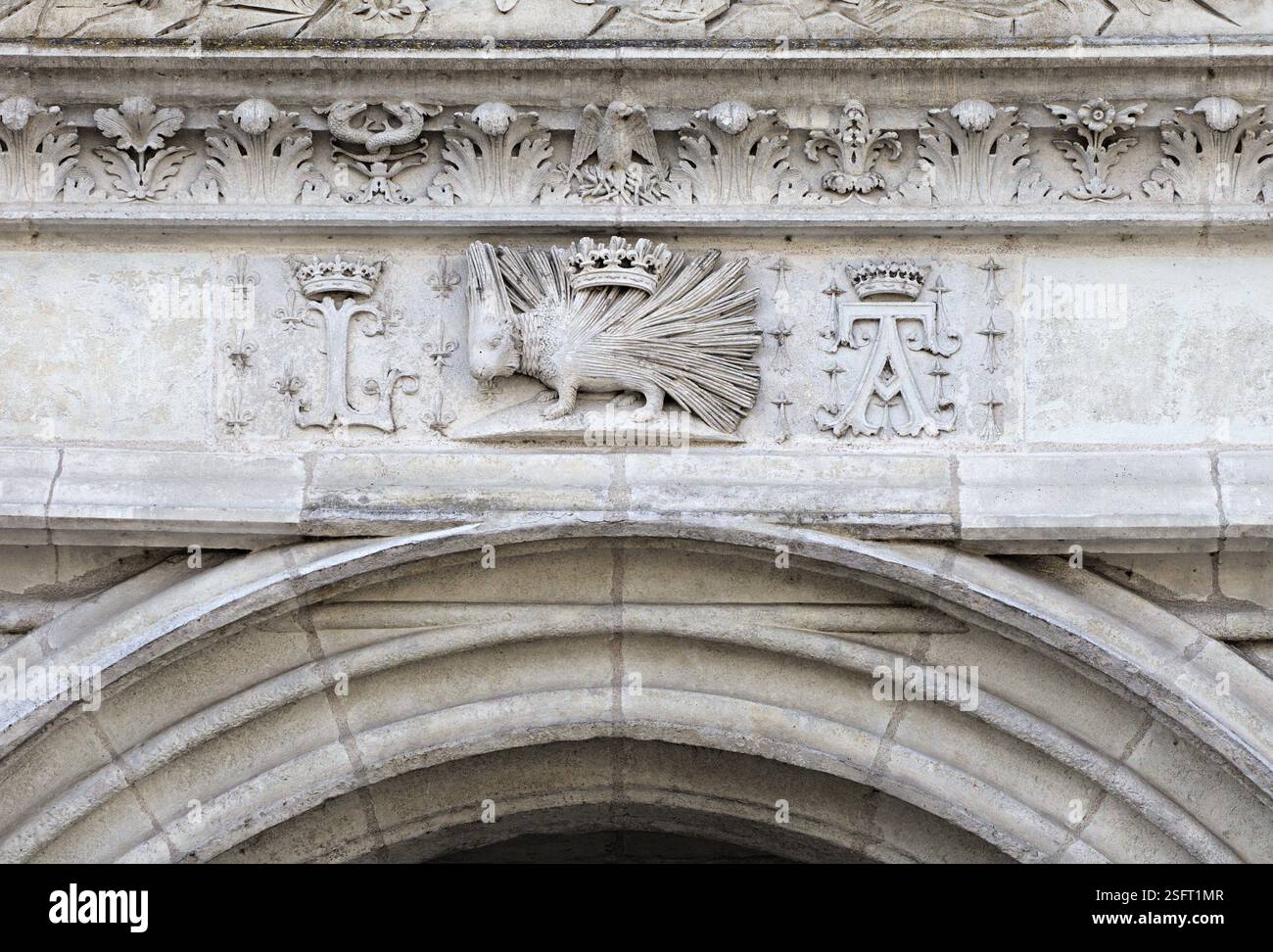 Un dettagliato rilievo in pietra caratterizzato da un porcospino coronato che mostra l'intricata maestria artigianale di Blois. Foto Stock