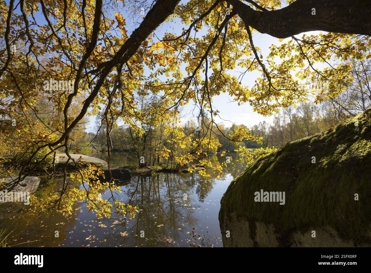 Laghetto di pesci con rocce di granito e querce di colore autunnale nel parco naturale Blockheide vicino a Gmuend, Waldviertel, bassa Austria, Austria, Europa Foto Stock