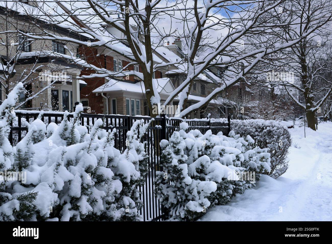 Quartiere residenziale con arbusti ricoperti di neve Foto Stock