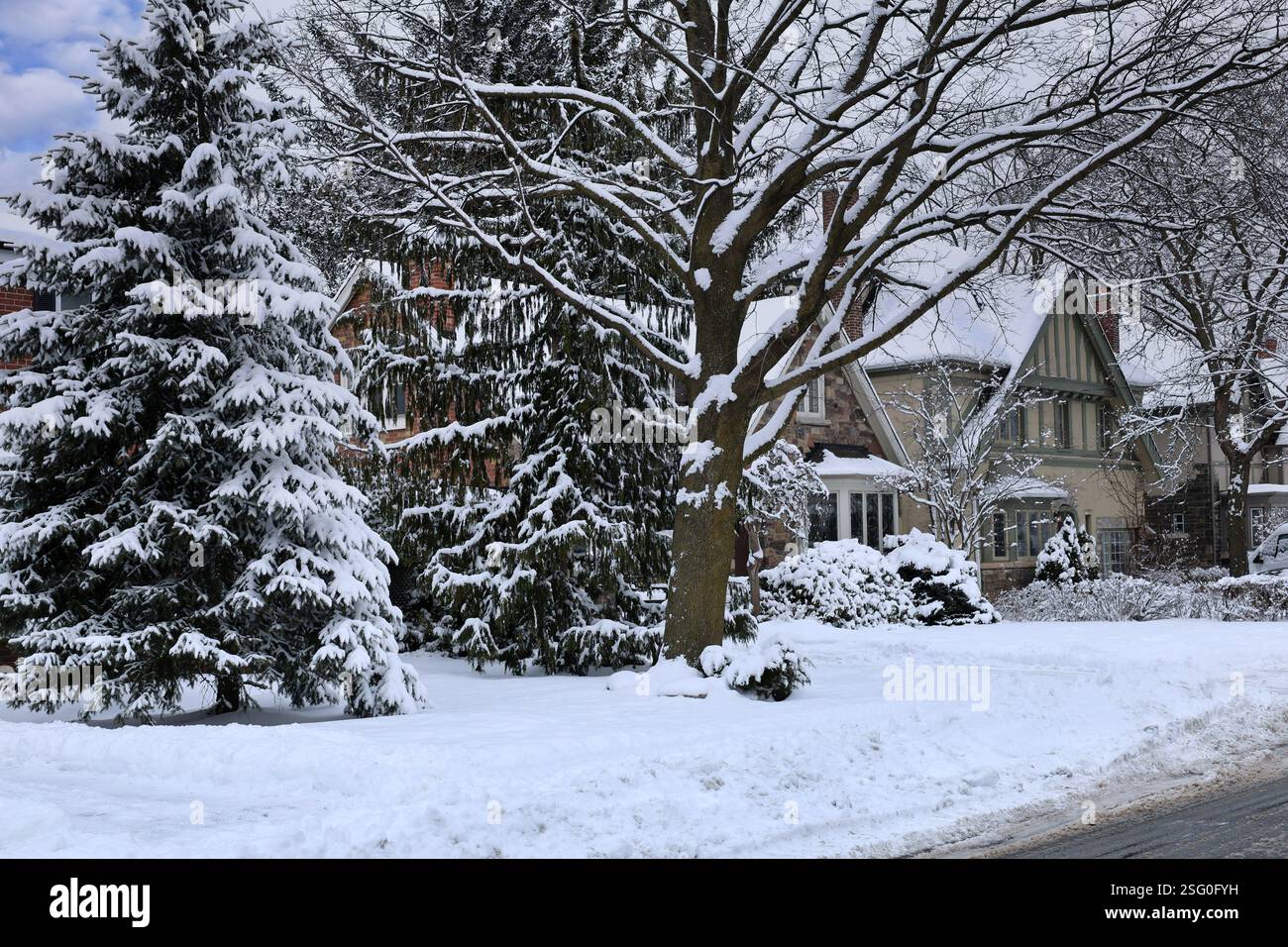 Quartiere residenziale con arbusti ricoperti di neve Foto Stock