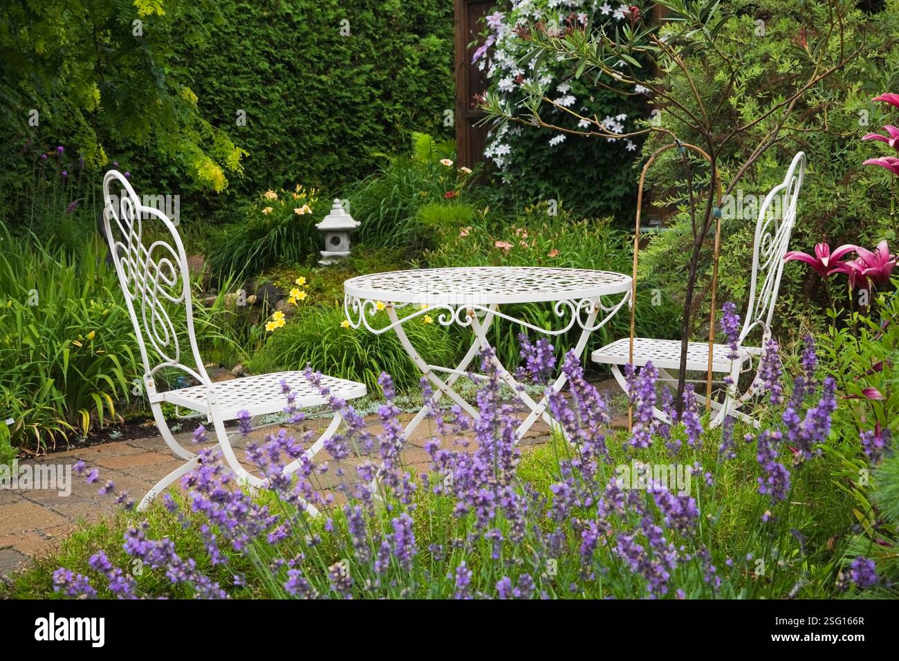 Lavandula angustifolia 'True Blue' - Lavanda, Lilium Asiatic 'America' rosso - fiori liliici e tavolo e sedie in ghisa bianca nel cortile posteriore. Foto Stock