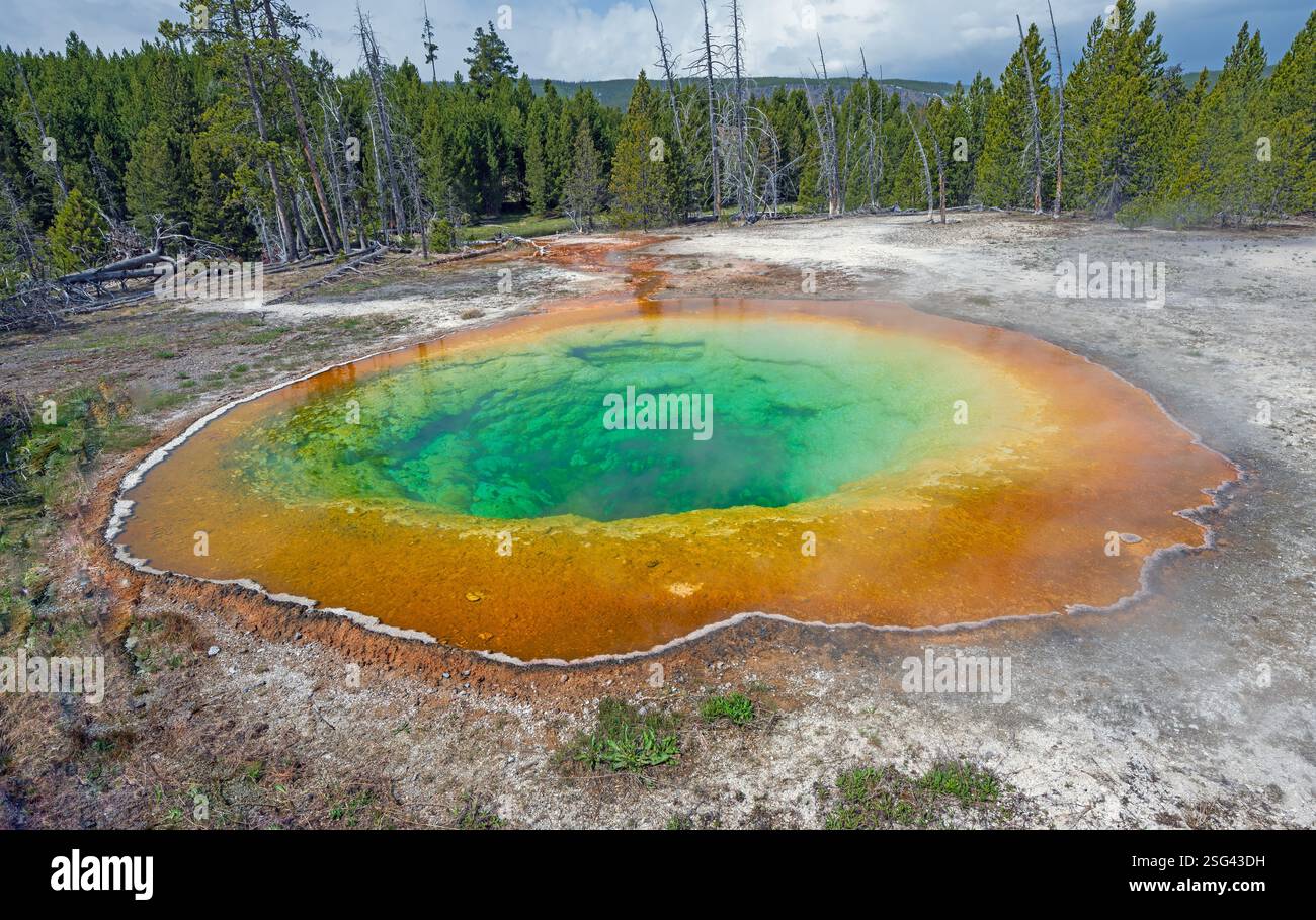 Piscina colorata Morning Glory nell'Upper Geyser Basin nel parco nazionale di Yellowstone nel Wyoming Foto Stock