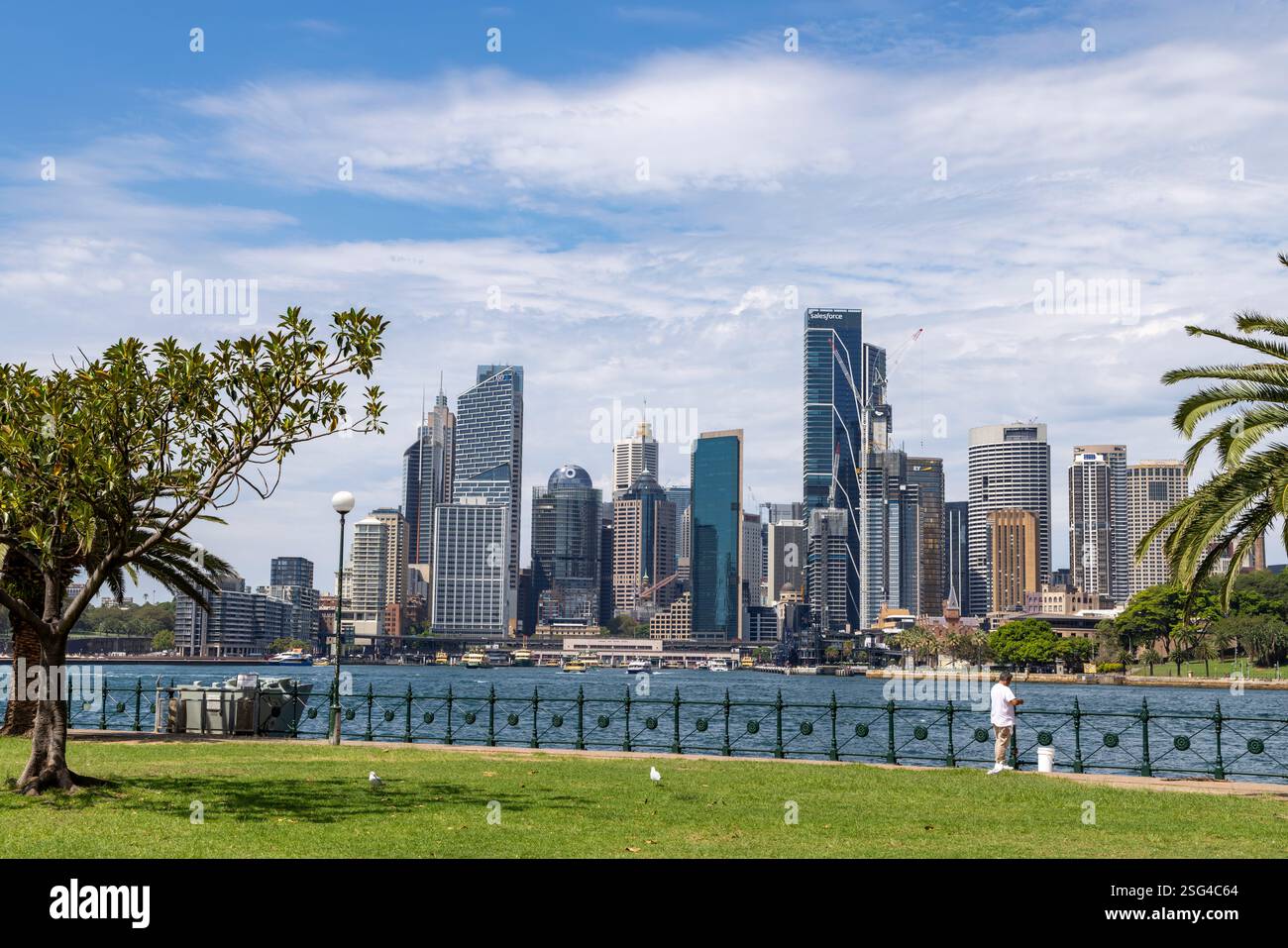 Skyline cittadino di Sydney 2025, alto e moderno edificio per uffici, grattacieli nel centro di Sydney, vista dal porto, NSW, Australia Foto Stock