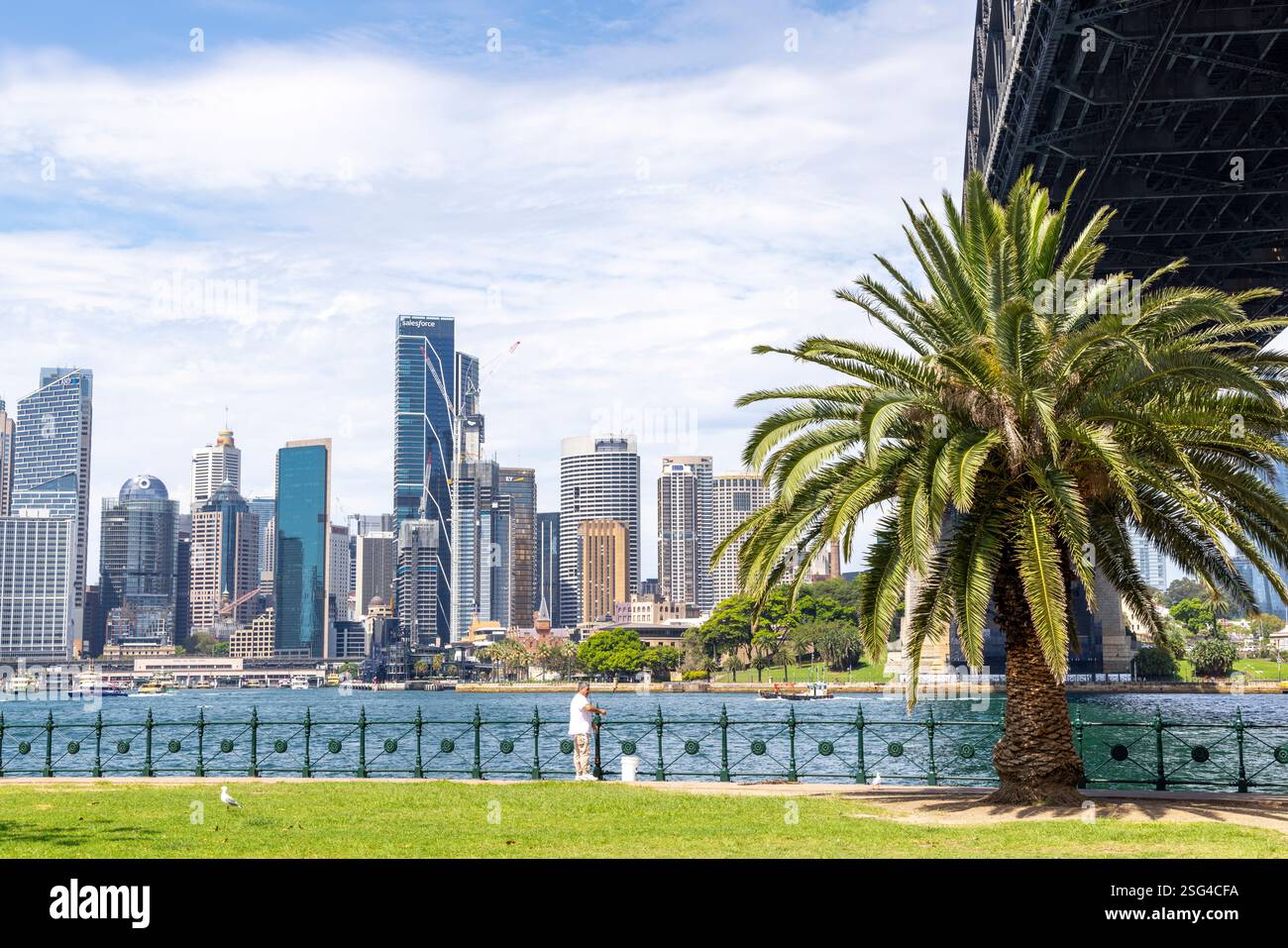 Skyline cittadino di Sydney 2025, alto e moderno edificio per uffici, grattacieli nel centro di Sydney, vista dal porto, NSW, Australia Foto Stock