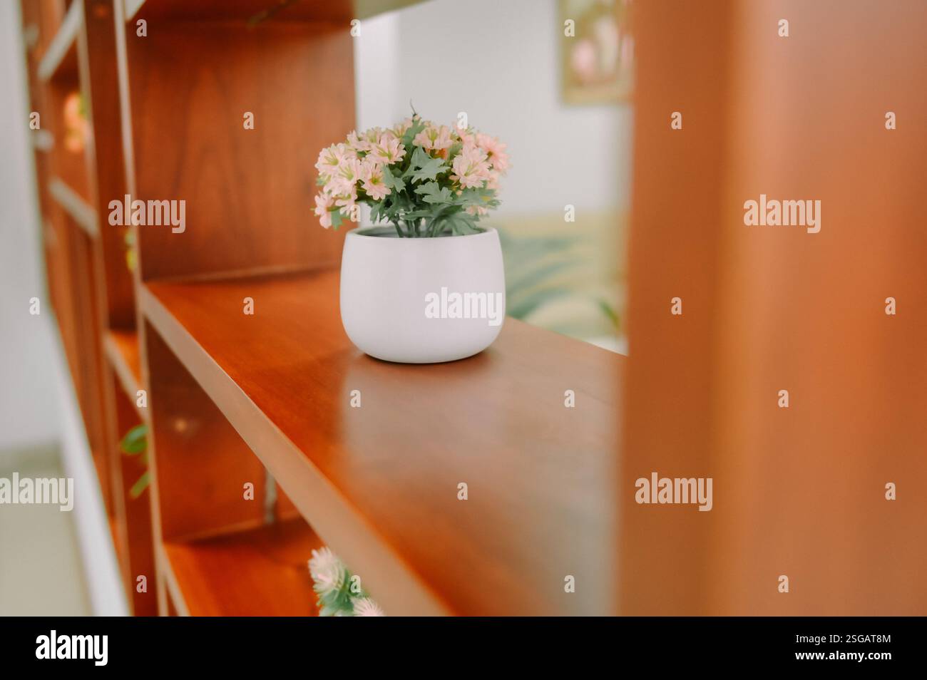 Delicati fiori rosa in una pentola bianca esposta su uno scaffale in legno, che aggiungono un tocco di natura all'arredamento degli interni. Foto Stock