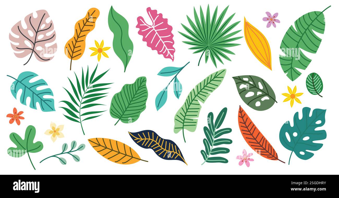 Set clipart disegno foglie tropicali. La collezione estiva di elementi grafici a forma di foglie colorate come palma, cocco, monstera, ibisco e felce Illustrazione Vettoriale