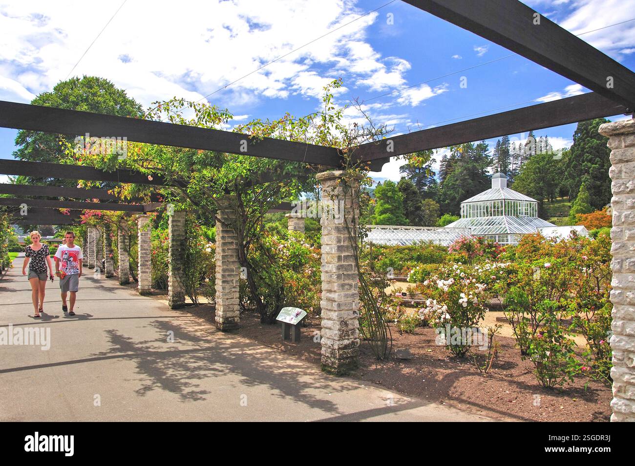 Giardino invernale di Serra da giardini di rose, Dunedin Botanical Gardens, Dunedin, Otago, Isola del Sud, Nuova Zelanda Foto Stock