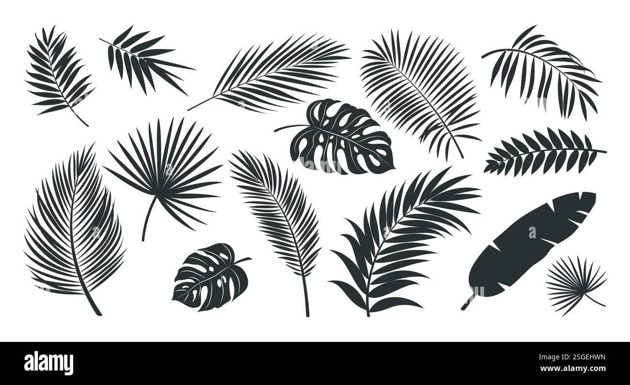 Set clipart silhouette foglie tropicali. Icona di disegno delle foglie e collezione di clip art con segni come palma, felce, monstera e elementi monocromatici a banana vettoriali Illustrazione Vettoriale