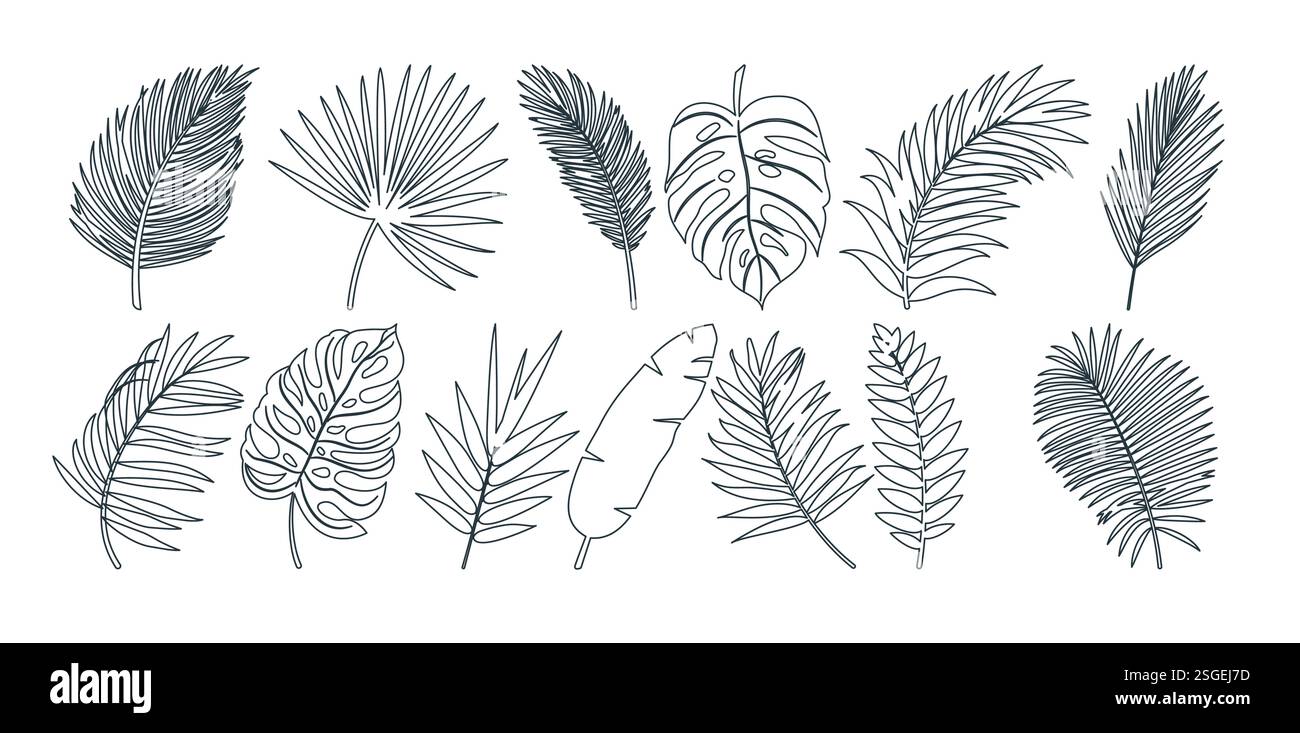 Leaves outline Tropical clipart Set (profilo delle foglie). Linee nere a foglia che disegnano, icone e simboli, collezione di clip art come palme, banana, monstera e elementi di felce Illustrazione Vettoriale