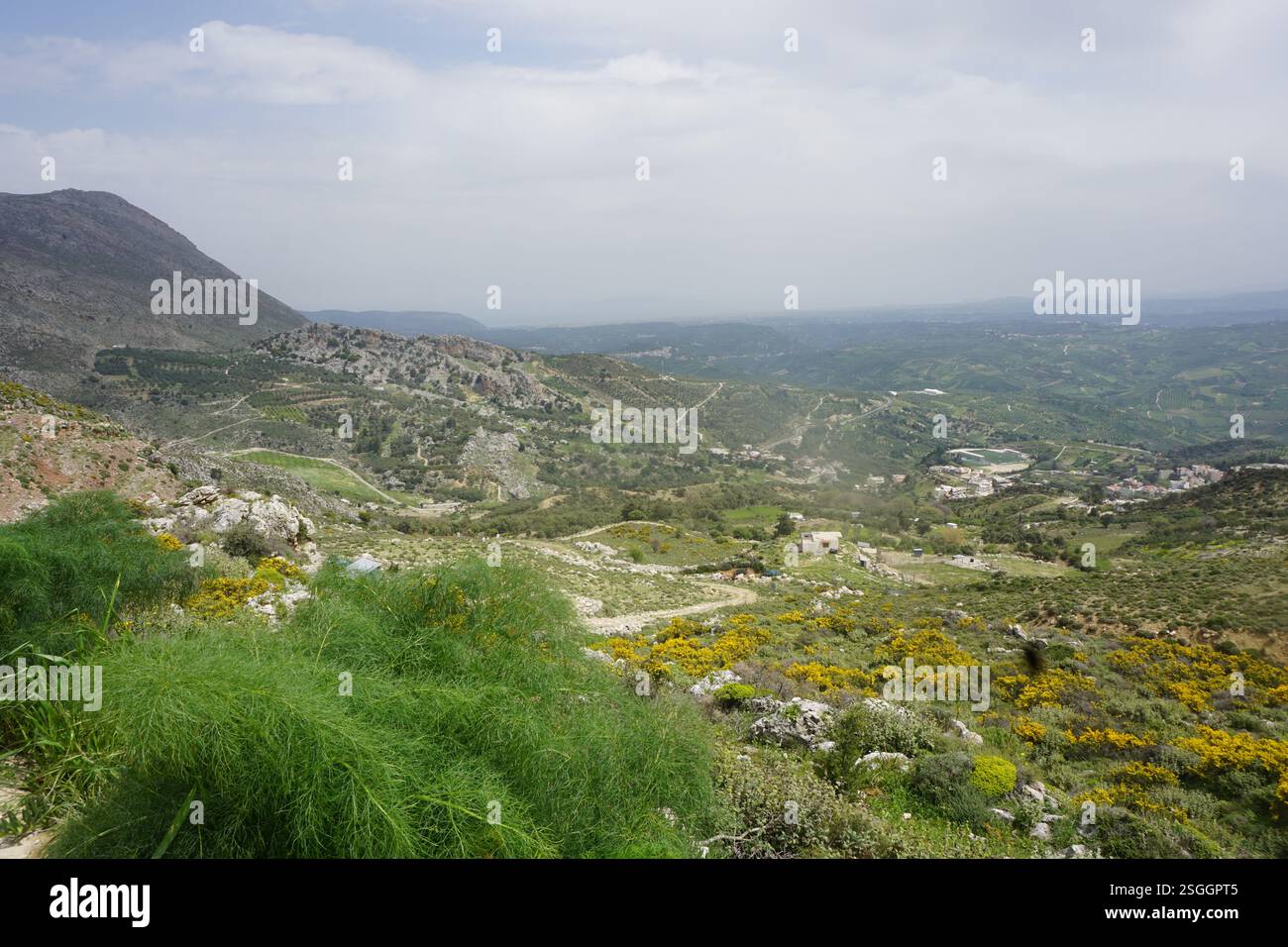 Creta, Grecia: Guardando in basso dalla cima della montagna con finocchio selvatico sul bordo - giornata della Terra - coscienza ecologica Foto Stock