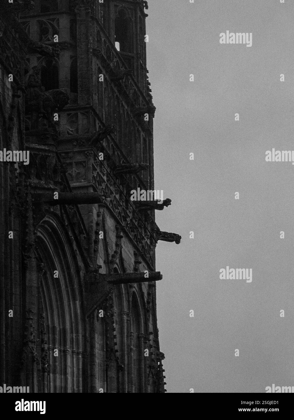 Dettaglio di alcuni dei Gargoyle sulle torri gotiche della cattedrale di Quimper in Bretagna, Francia Foto Stock