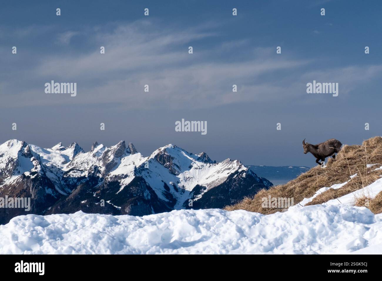 Stazione sciistica di Villars sur Ollon e stazione sciistica nelle Alpi Vaudoise, Svizzera Foto Stock