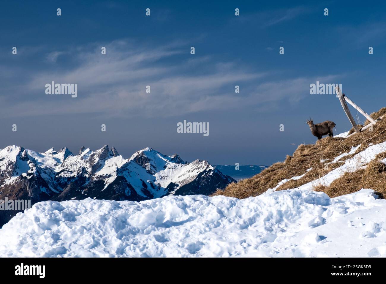 Stazione sciistica di Villars sur Ollon e stazione sciistica nelle Alpi Vaudoise, Svizzera Foto Stock
