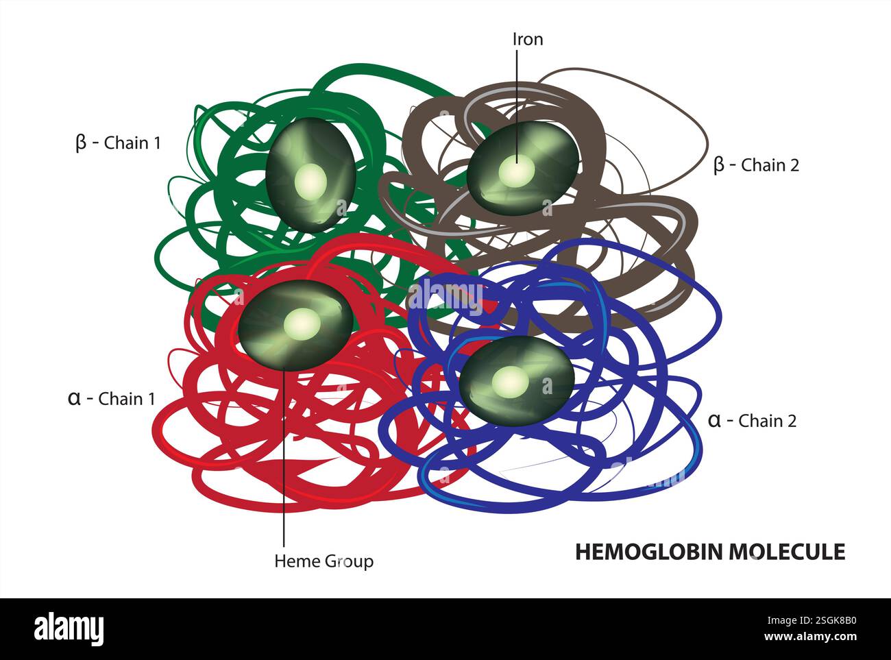 Etichetta emoglobina Illustrazione Vettoriale