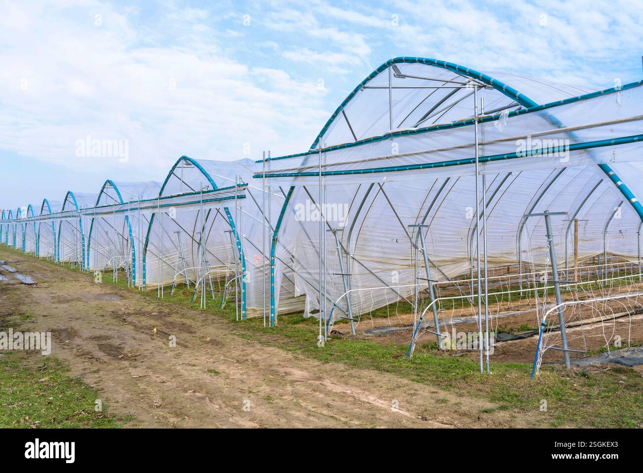 Serra nel sud della Germania Foto Stock