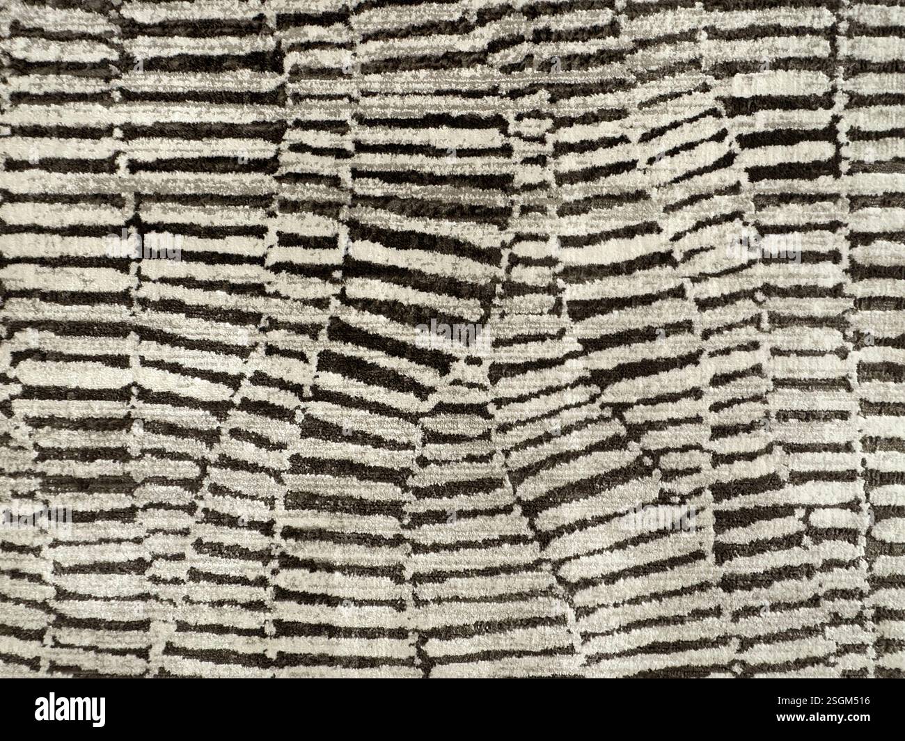 Primo piano del tappeto con motivo a scala di serpente o con righe orizzontali casuali. In bianco e nero, monocromatico. Senza interruzioni Foto Stock