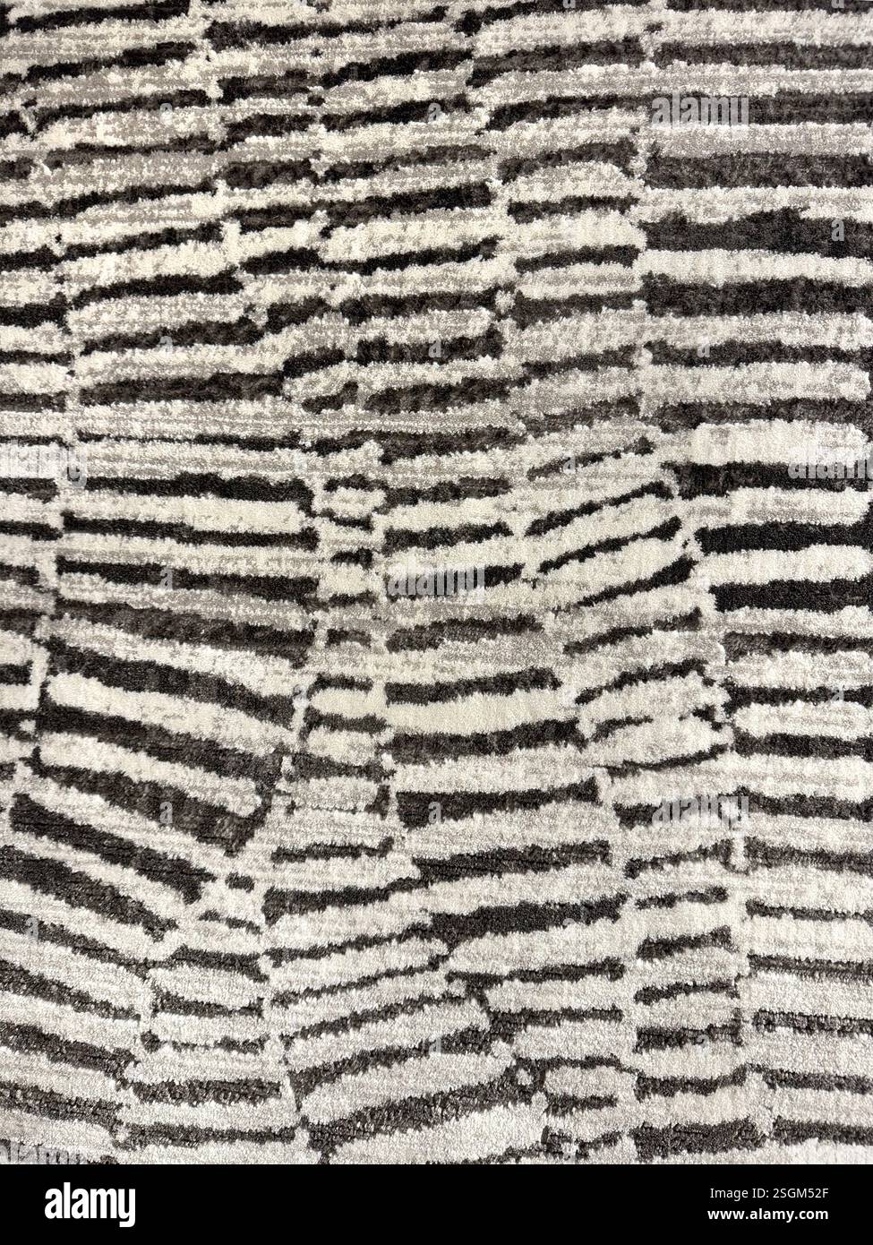 Primo piano del tappeto con motivo a scala di serpente o con righe orizzontali casuali. In bianco e nero, monocromatico. Senza interruzioni Foto Stock