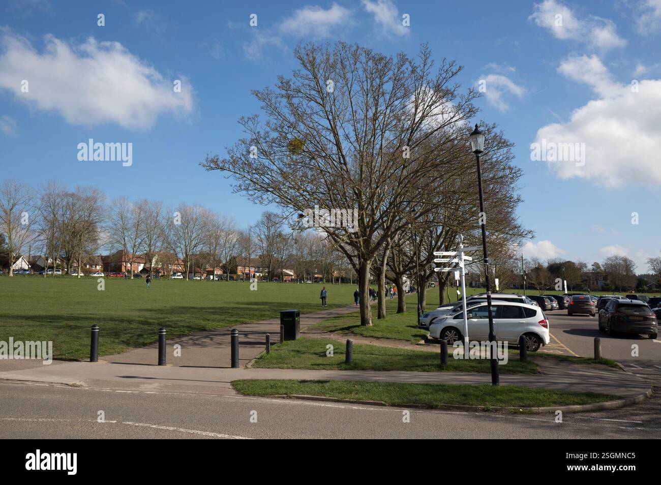 Zafferano Walden Essex Essex, Inghilterra Foto Stock