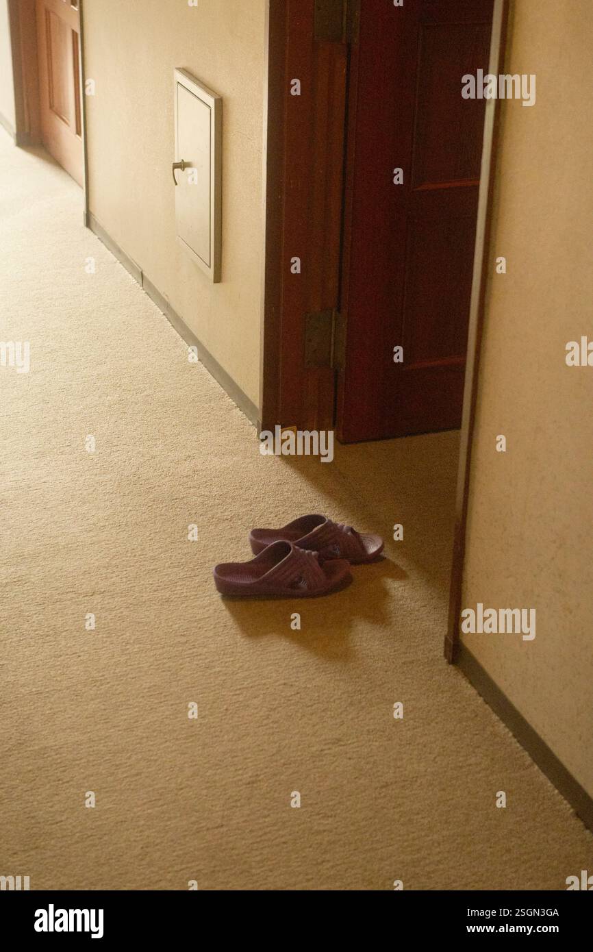 Pantofole viola su tappeto beige in un corridoio dell'hotel poco illuminato con porte in legno, Alpi giapponesi e Shiba Onsen Foto Stock