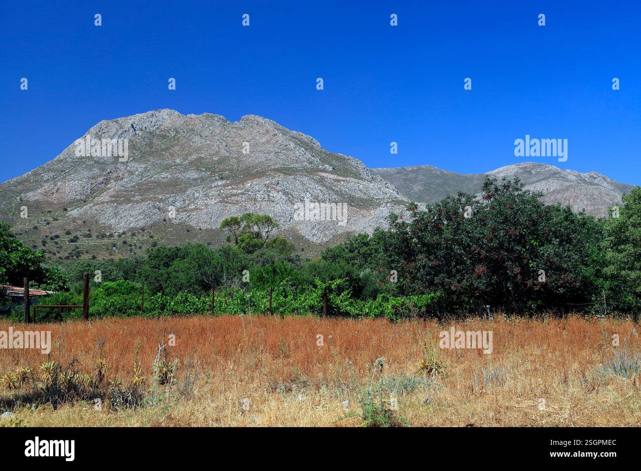 Paesaggio vicino Megalo Horio, Tilos, isole Dodecanesi, Egeo meridionale, Grecia. Foto Stock